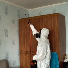 Борьба с клопами в домашних условиях – Нижний Новгород