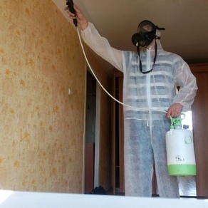 Уничтожение тараканов в квартире – цена в Нижнем Новгороде