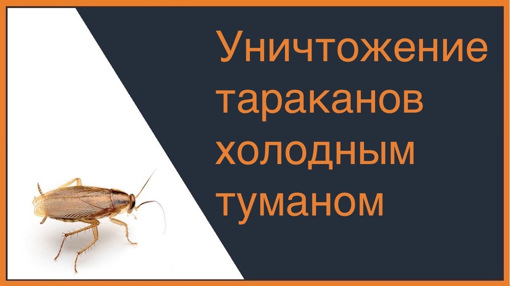 Уничтожение тараканов холодным туманом в Нижнем Новгороде