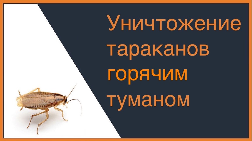 Уничтожение тараканов горячим туманом в Нижнем Новгороде