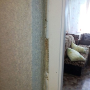 Уничтожение клопов в квартире с гарантией Нижний Новгород