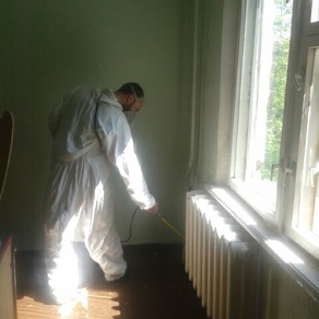 Уничтожить тараканов в квартире в Нижнем Новгороде