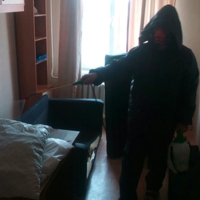 Уничтожение тараканов в квартире с гарантией в Нижнем Новгороде